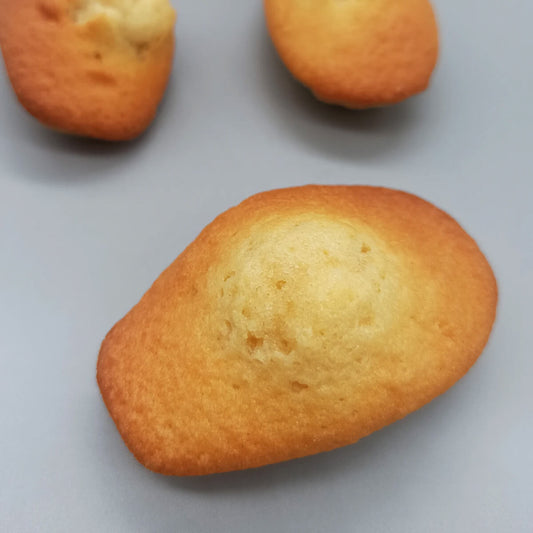 Lot de 10 madeleines vanille